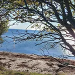 6 Person In Holiday home Sjolund