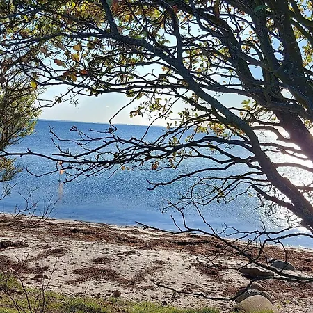 6 Person In Holiday home Sjolund