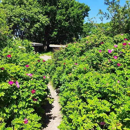 6 Person In Holiday home *